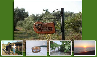 Κτήμα Καρυδιές-Farm Wallnut Trees